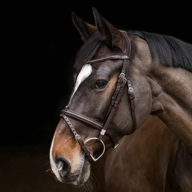 Stubben Sligo Slide/Lock Combined Flash 2705 Bridle - Black-3