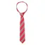 Supreme Products Junior Show Tie - Red/Navy Stripe