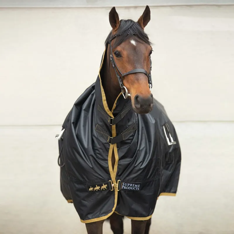 Supreme Products Pro Groom Exercise Sheet - Black/Gold-1