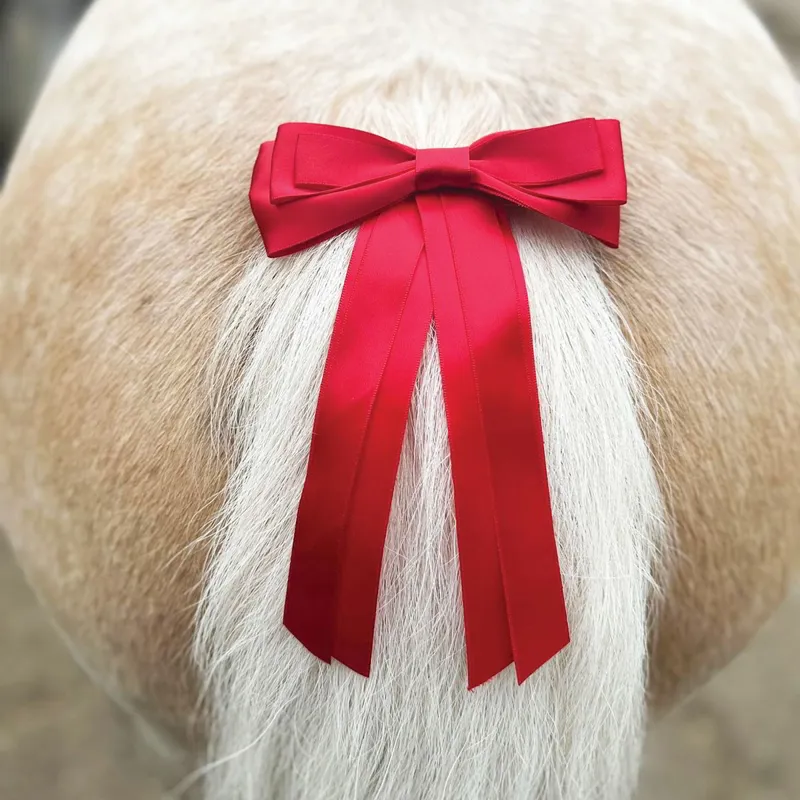 Equetech Horse Warning Competition Tail Ribbon - Red-1