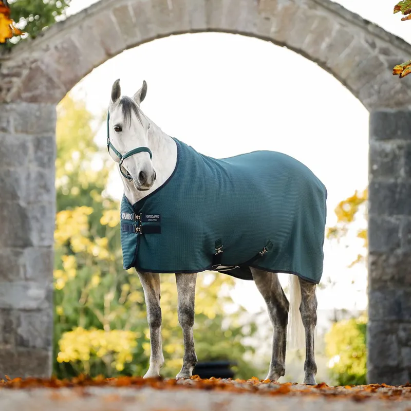Rambo Techni-Waffle Cooler - Dynasty Green/Navy/Silver-3