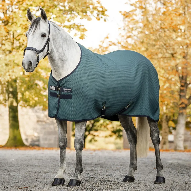 Rambo Techni-Waffle Cooler - Dynasty Green/Navy/Silver