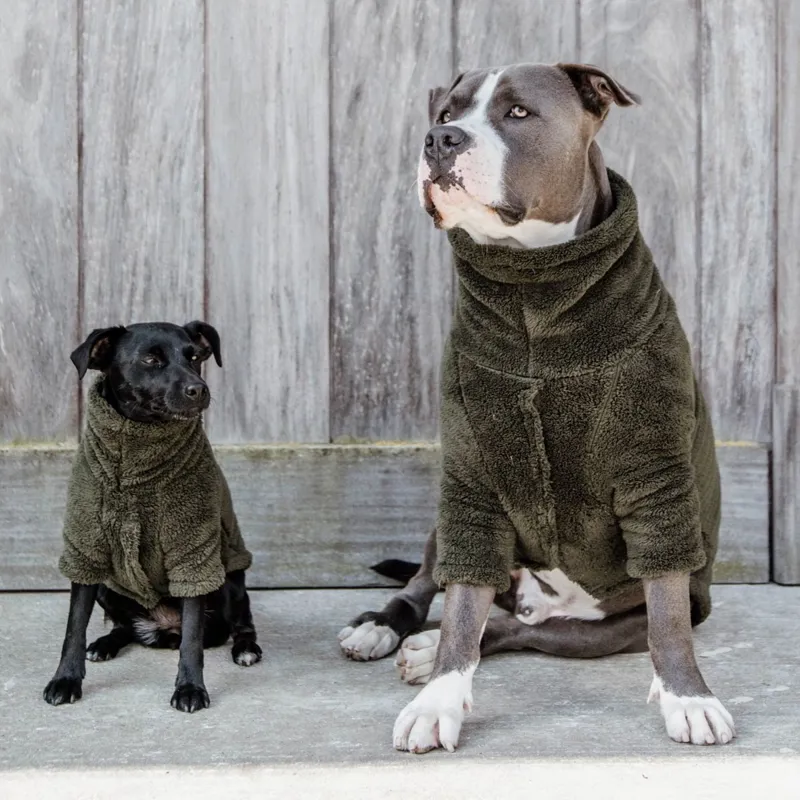 Kentucky Teddy Fleece Sweater Dog Rug - Pine Green-2