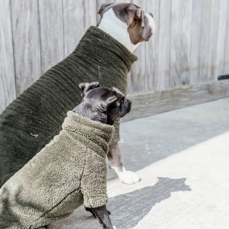 Kentucky Teddy Fleece Sweater Dog Rug - Pine Green-3