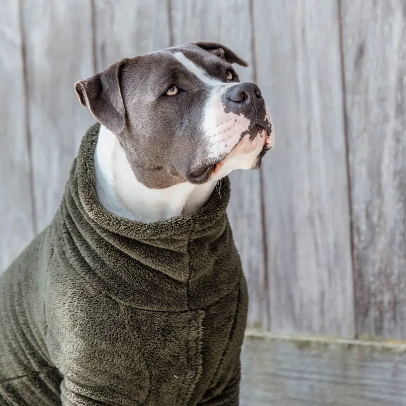 Kentucky Teddy Fleece Sweater Dog Rug - Pine Green-4