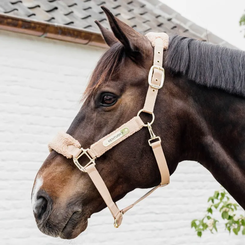 Kentucky Teddy Fleece Halter - Beige