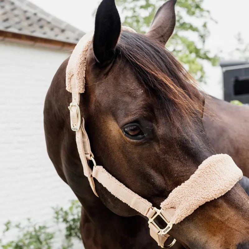 Kentucky Teddy Fleece Halter - Beige-4