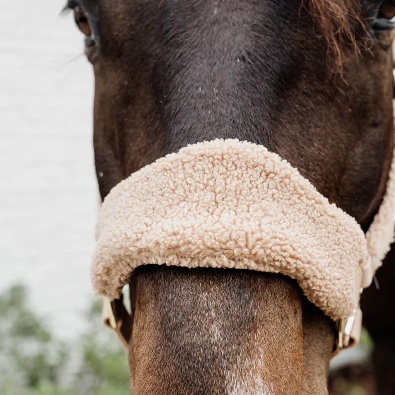 Kentucky Teddy Fleece Halter - Beige-5