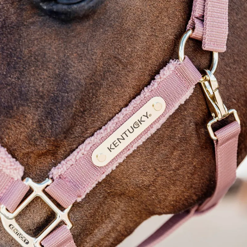 Kentucky Teddy Fleece Halter - Old Rose-2