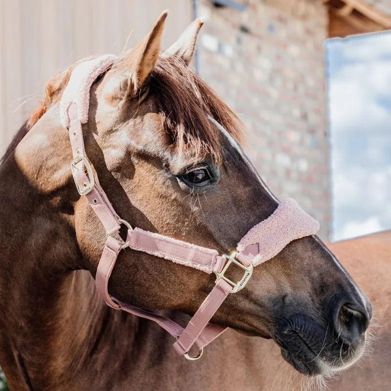 Kentucky Teddy Fleece Halter - Old Rose-3