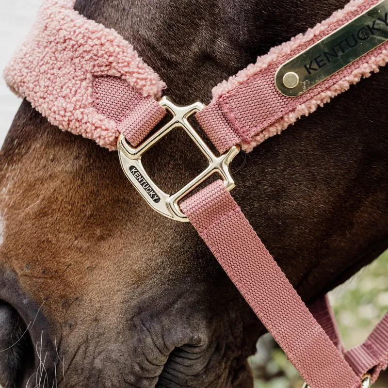 Kentucky Teddy Fleece Halter - Old Rose-4