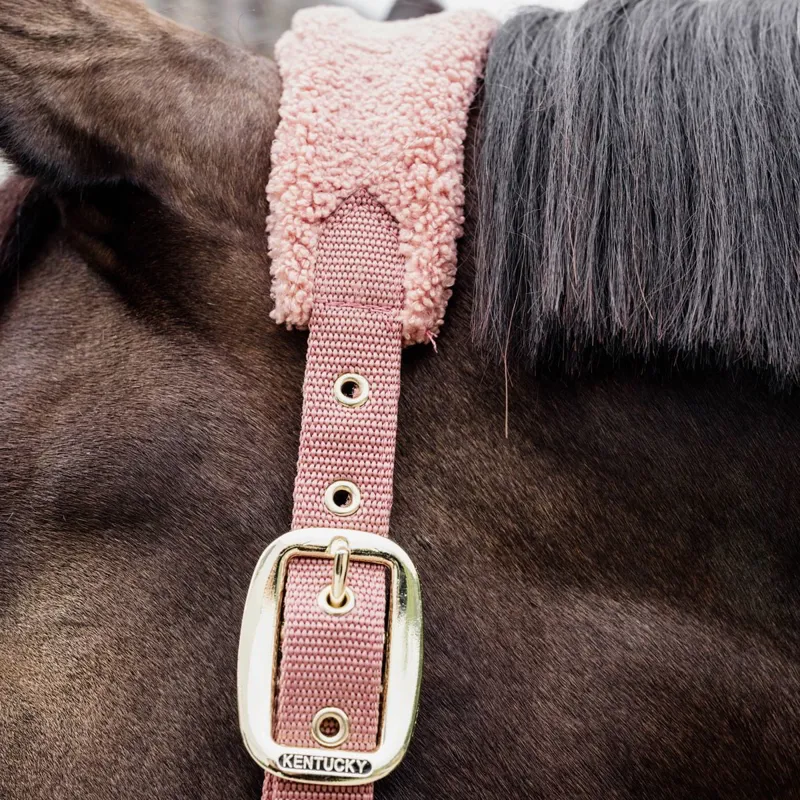 Kentucky Teddy Fleece Halter - Old Rose-5
