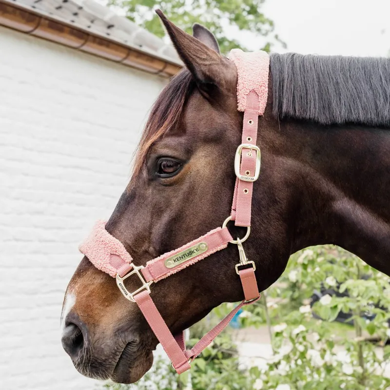 Kentucky Teddy Fleece Halter - Old Rose-6