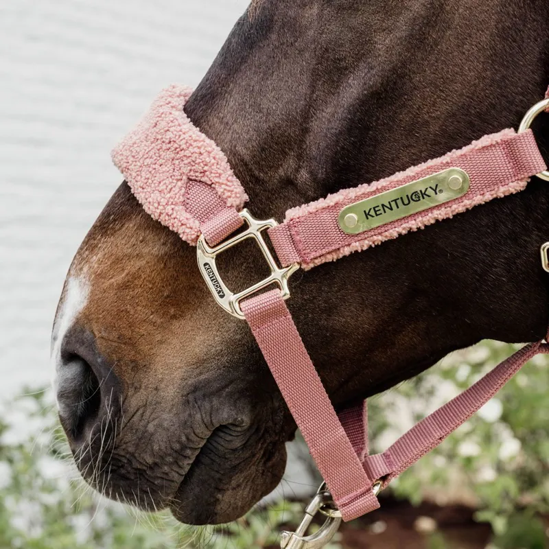 Kentucky Teddy Fleece Halter - Old Rose-7