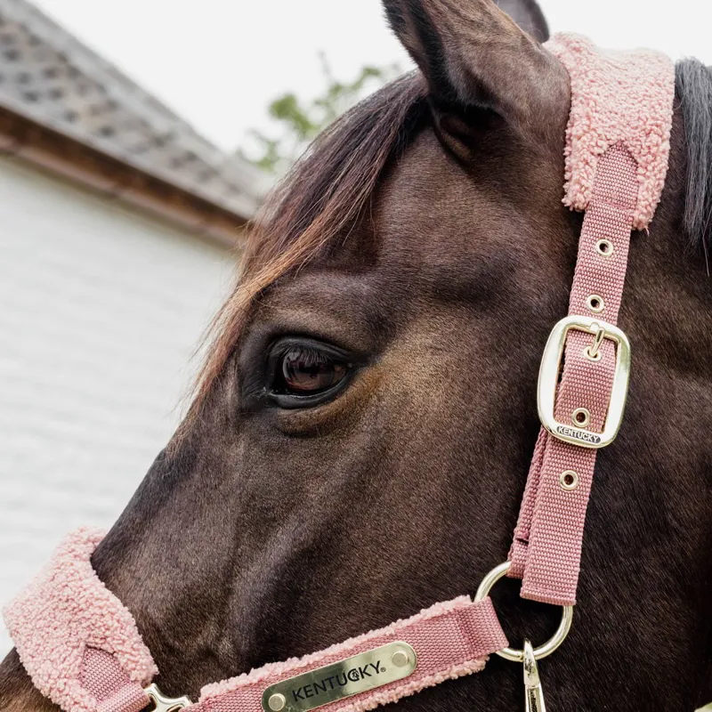 Kentucky Teddy Fleece Halter - Old Rose-8
