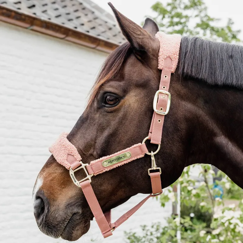Kentucky Teddy Fleece Halter - Old Rose