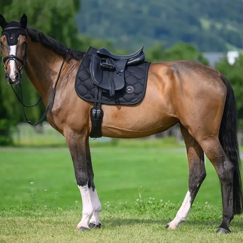 Tommy Hilfiger Emory Dressage Saddle Pad - Desert Sky-5