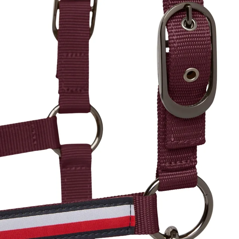 Tommy Hilfiger Yale Halter and Lead Rope Set-Deep Burgundy-9