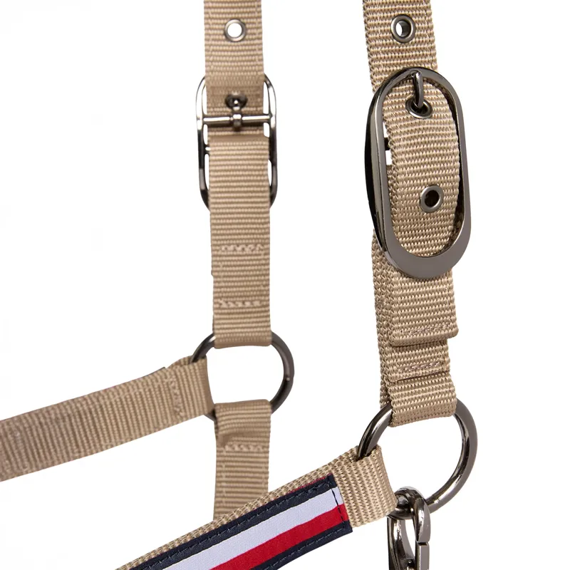 Tommy Hilfiger Yale Halter and Lead Rope Set - Taupe-3