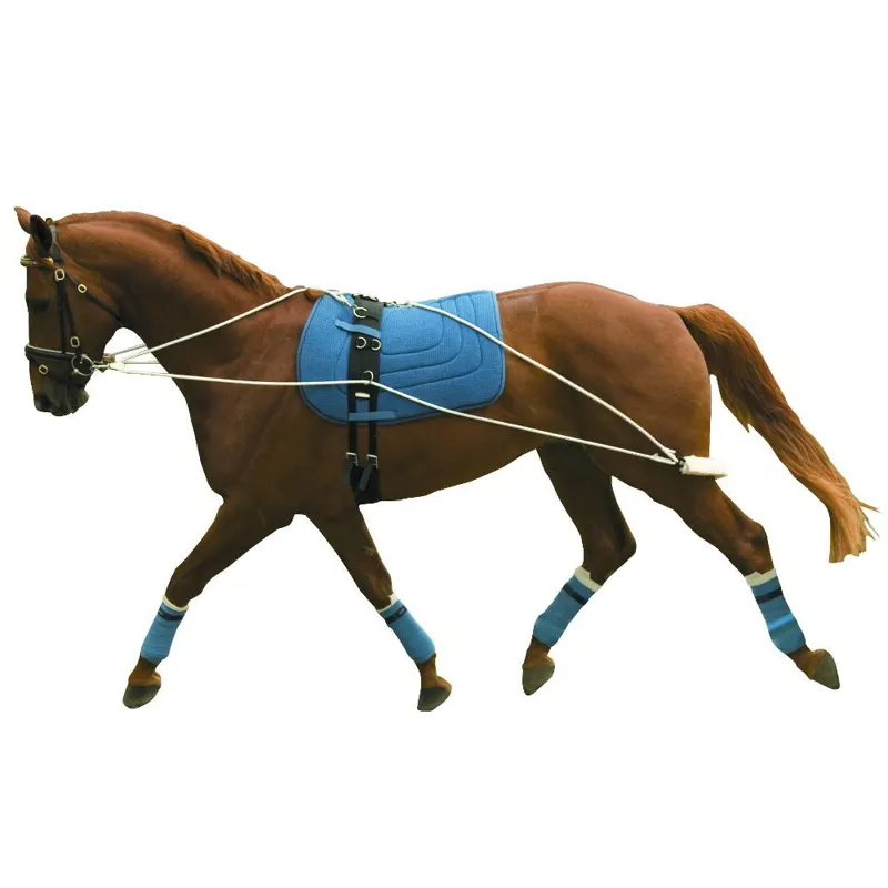 Kincade Longeing Training Aid System