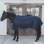 Kentucky Cooler Combo Sheet - Navy