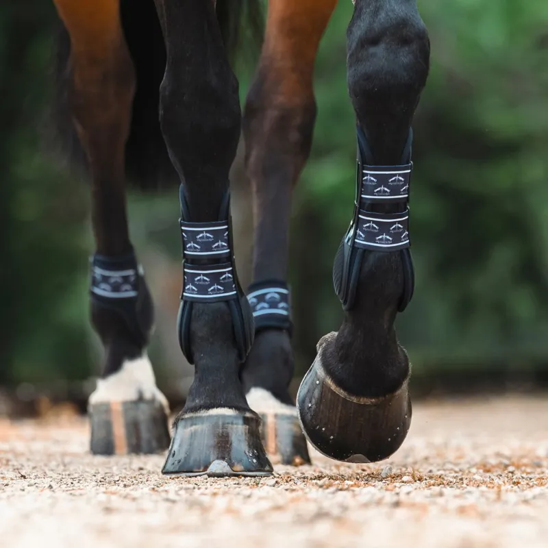 Veredus TRPro H5 Front Tendon Boots - Black-2