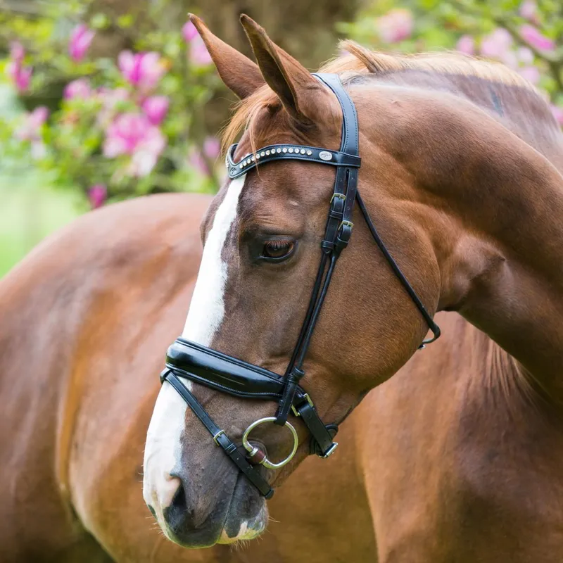 TRUST Equestrian Leather Eggbutt Bit-2