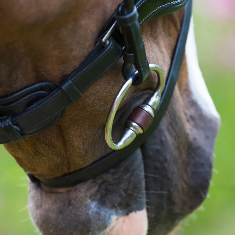 TRUST Equestrian Leather Eggbutt Bit-3