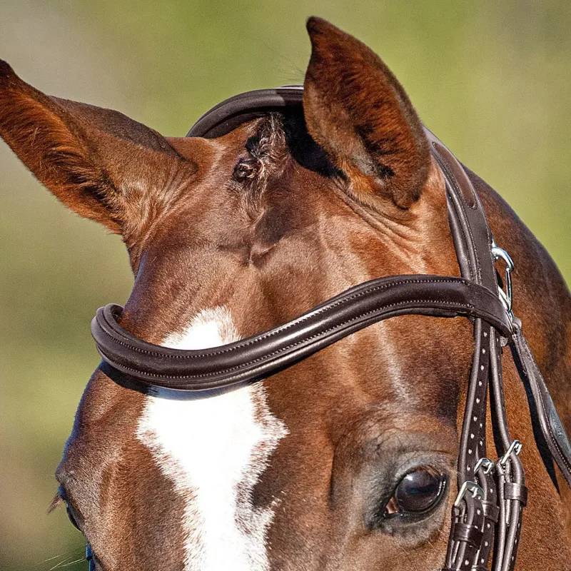 Equiline BB0426 U Shaped Browband Brown-2