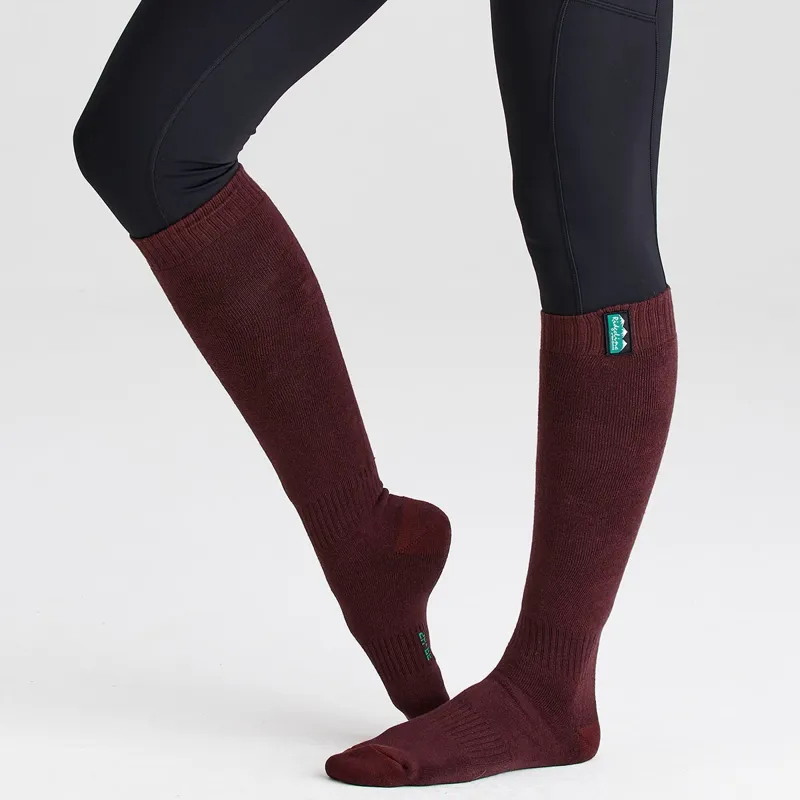 Ridgeline Cotton Work Full Length Socks 3 Pack - Oxblood Multi-7