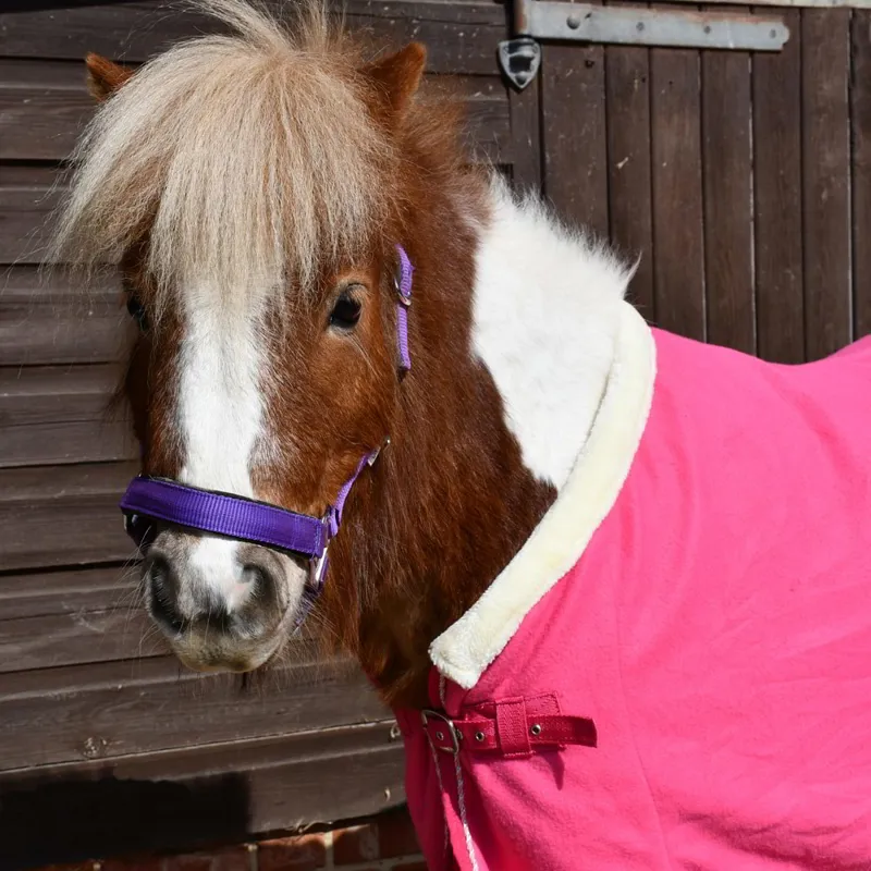 Rhinegold Unicorn Embroidered Fleece Pony Sheet - Pink-2