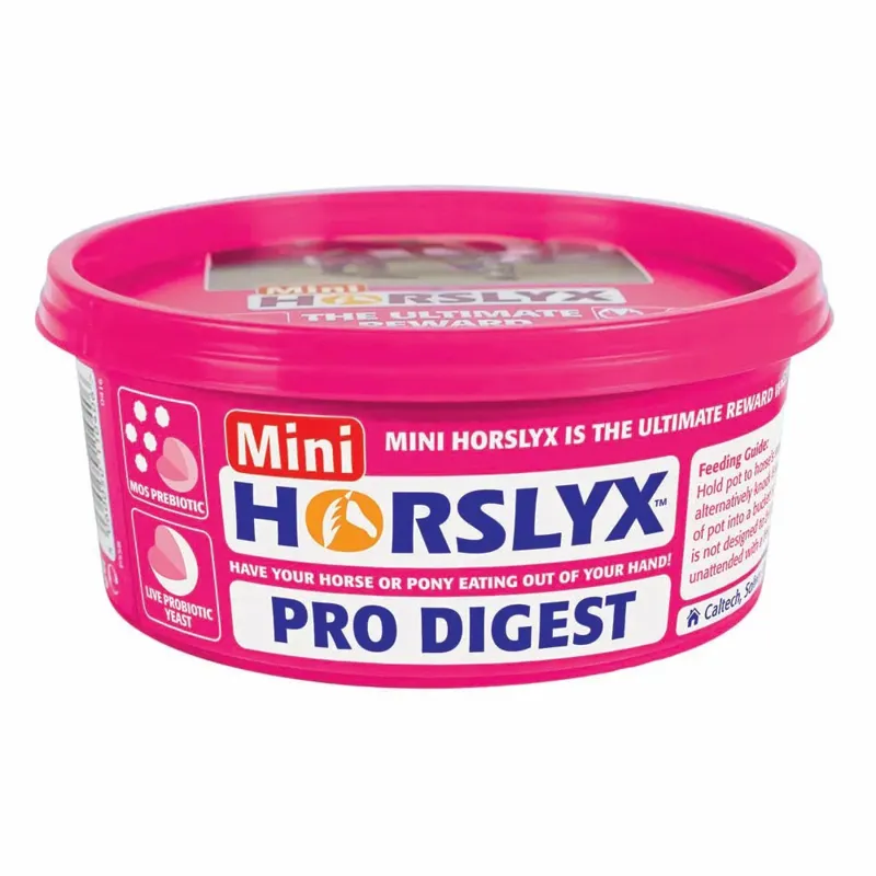 Horslyx Pro Digest Balancer Lick