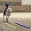 USG Soft Pole - Blue