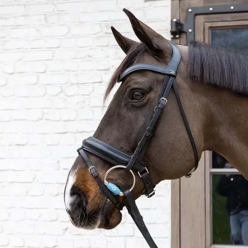 Velari Flex Medium Straight Bar Eggbutt Snaffle Bit-7