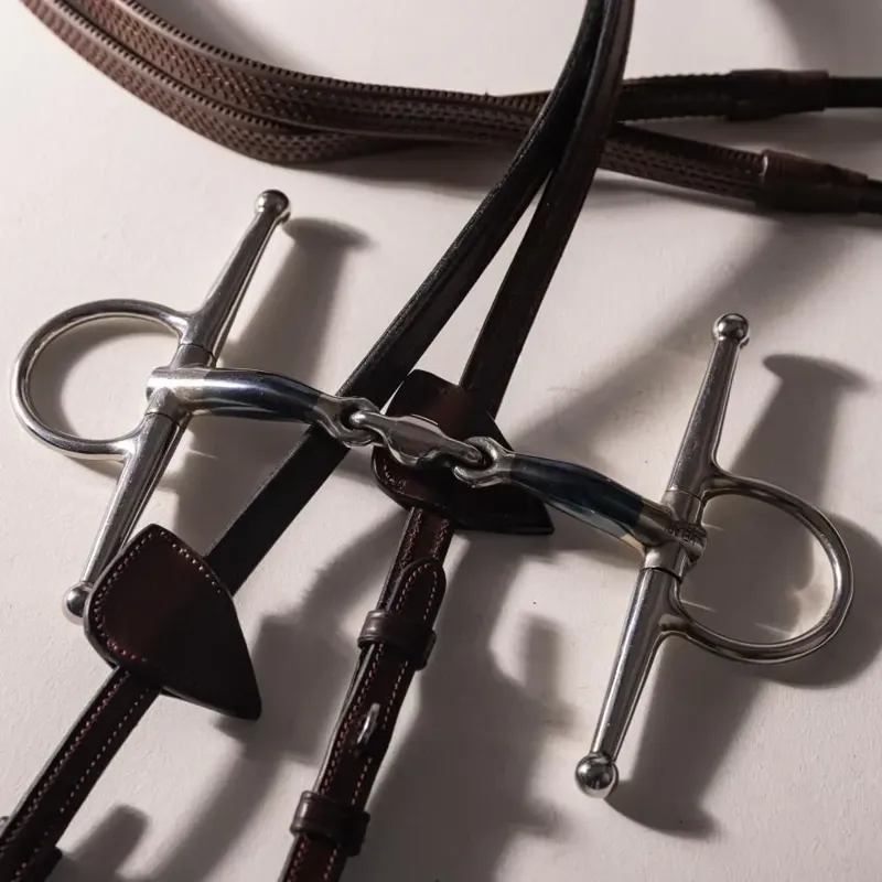 Velari Sweet Iron Double Jointed Full Cheek Snaffle Bit-5