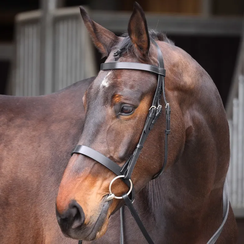 Velociti GARA Plain Bridle with Reins - Black