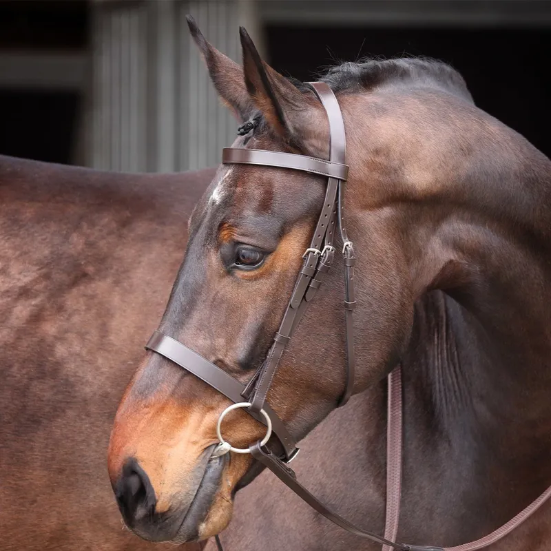 Velociti GARA Plain Bridle with Reins - Havana