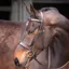 Velociti GARA Plain Bridle with Reins - Havana