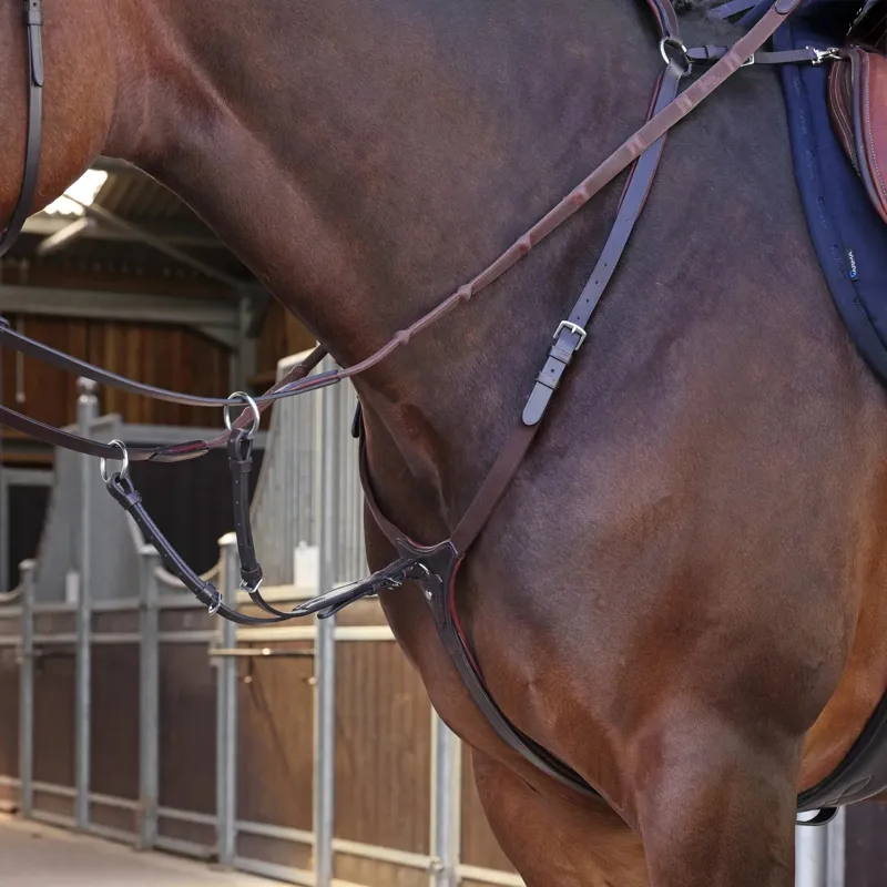 Velociti Lusso Elite Breastplate - Havana