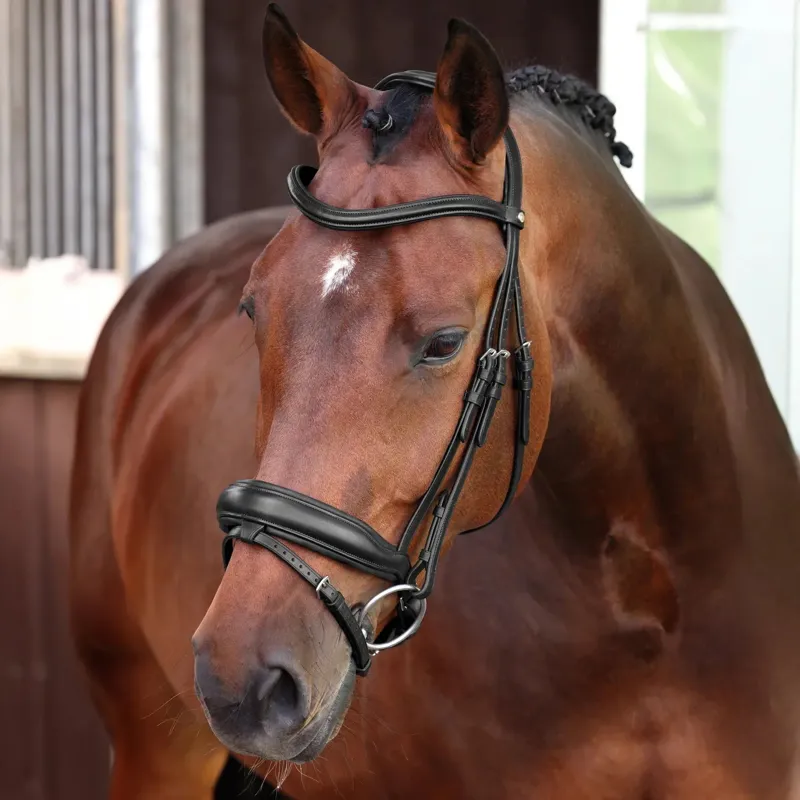 Velociti Lusso Elite Dressage Flash Bridle - Black