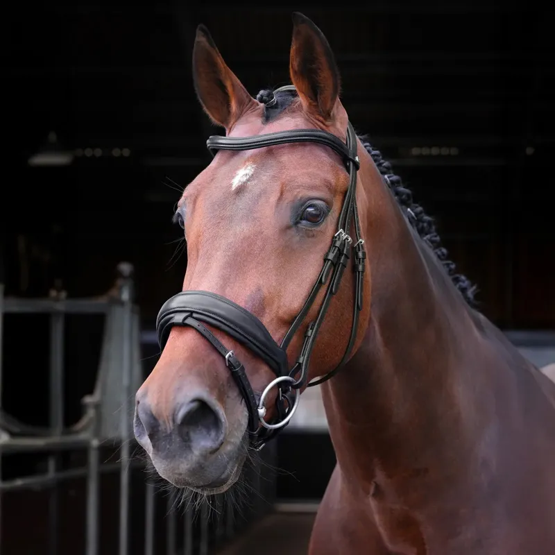 Velociti Lusso Elite Dressage Flash Bridle - Black-1