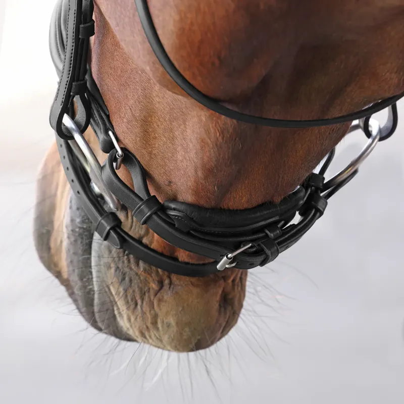 Velociti Lusso Elite Dressage Flash Bridle - Black-3