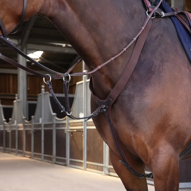 Velociti Lusso Elite Elastic Breastplate - Havana