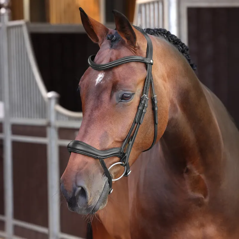 Velociti Lusso Elite Ergonomic Padded Flash Bridle - Black