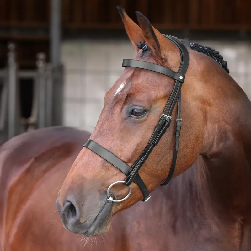 Velociti Lusso Elite Hunter Bridle - Black