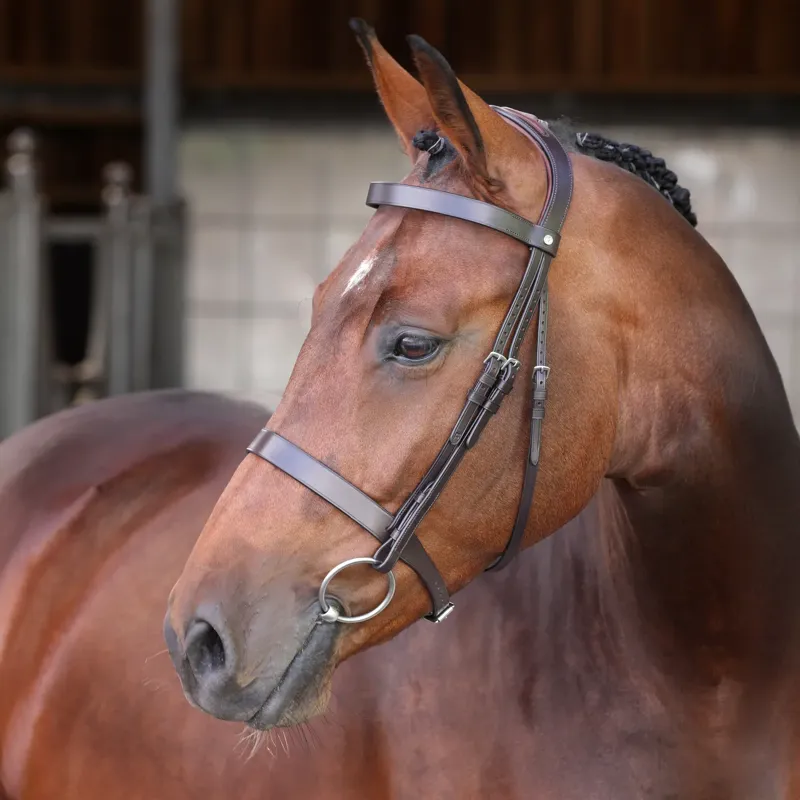 Velociti Lusso Elite Hunter Bridle - Brown