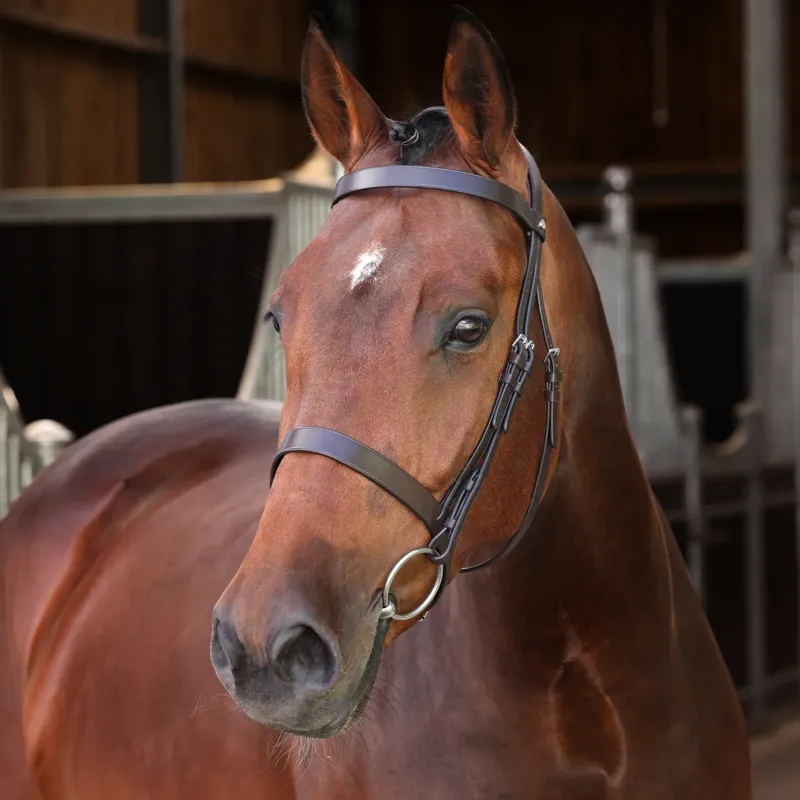 Velociti Lusso Elite Hunter Bridle - Brown-1