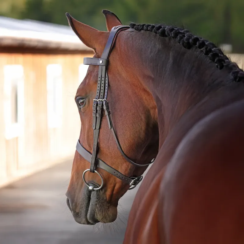 Velociti Lusso Elite Hunter Bridle - Brown-2