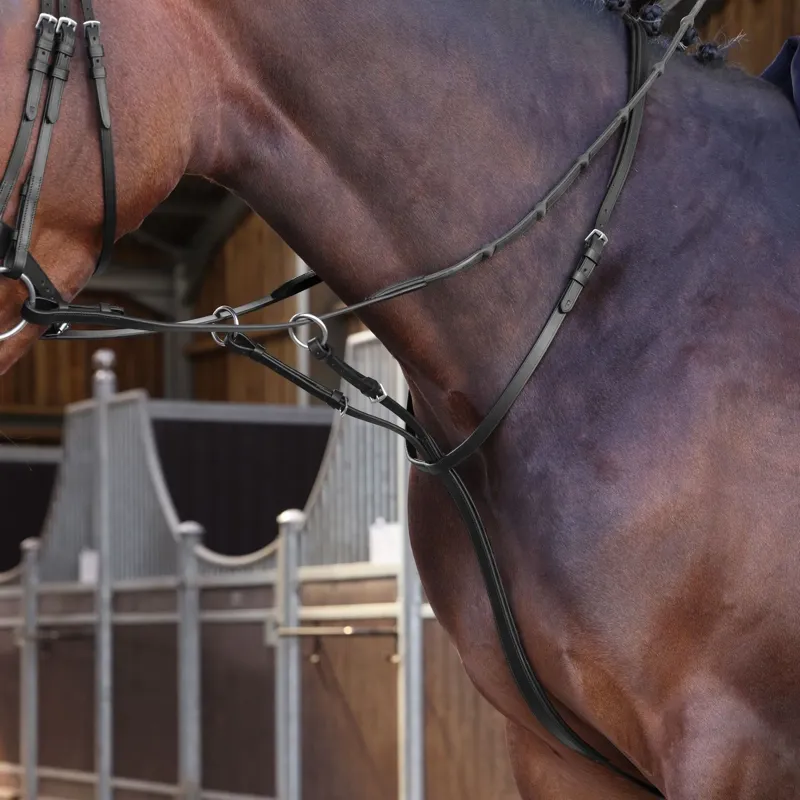 Velociti Lusso Elite Running Martingale - Black