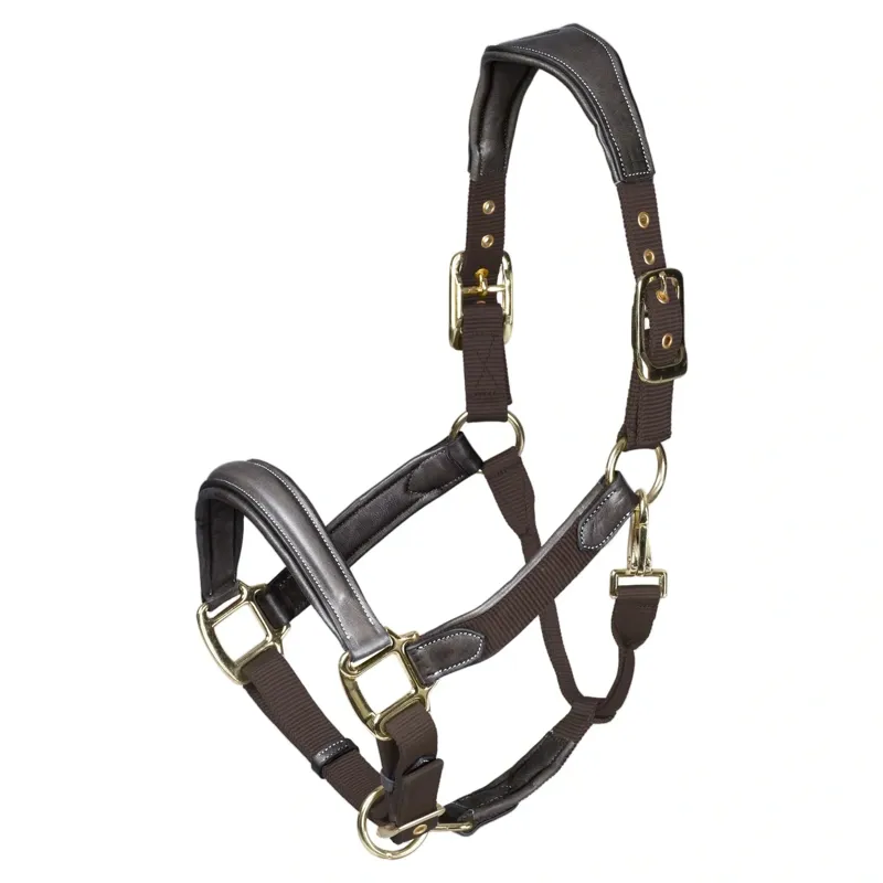 Velociti Lusso Padded Leather Halter - Havana